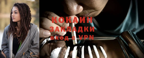 сатива Аркадак