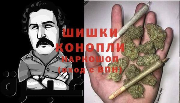 сатива Аркадак